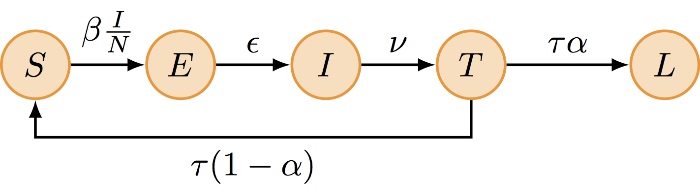 The SEITL model extends the classical SIR model to account for the dynamics and host heterogeneity of the immune response among the islanders. Following recovery, hosts remain temporarily protected against reinfection thanks to the cellular immune response (T-cells). Accordingly, they enter the T stage (temporary protection). Then, following down-regulation of the cellular response, the humoral immune response (antibodies) has a probability \alpha to reach a level sufficient to protect against reinfection. In this case, recovered hosts enter the L stage (long-term protection), but otherwise they remain unprotected and re-enter the susceptible pool (S).